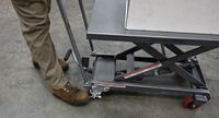 CART-200-ALUM_P.jpg