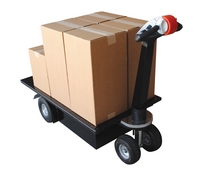 NE-CART-1_F.jpg